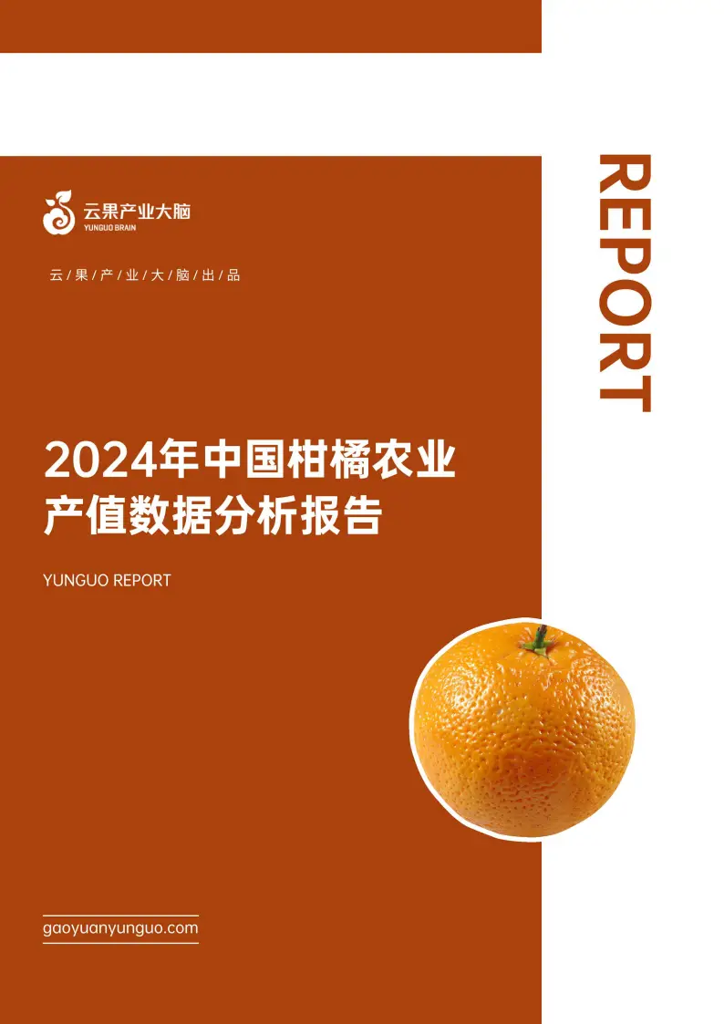 2024 年瓶装水价格内卷，矿泉水促销下探，行业格局或受影响